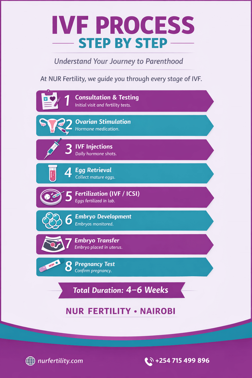IVF Process Step by Step
